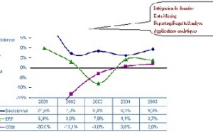 Etude quantitative sur la valeur et la dynamique 2004 – 2008 du marché français des logiciels de décisionnel