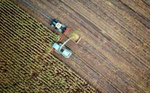 Constantin Pavléas conseille et accompagne API-AGRO pour la mise en place d'une plateforme d'échange de données agricoles basée sur des technologies souveraines